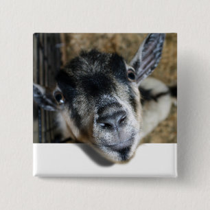 Nosy Goat die uitkijkt Vierkante Button 5,1 Cm