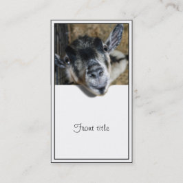 Nosy Goat die uitkijkt Visitekaartje