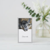 Nosy Goat die uitkijkt Visitekaartje (Staand voorkant)