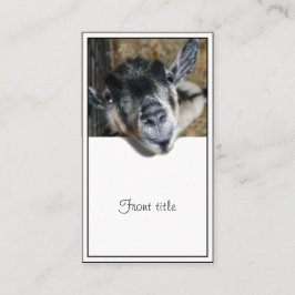 Nosy Goat die uitkijkt Visitekaartje
