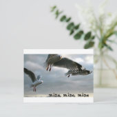 Nosy Gulls Briefkaart (Staand voorkant)