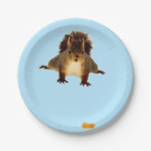 Nosy red squirrel in snow blue papieren bordje (Voorkant)