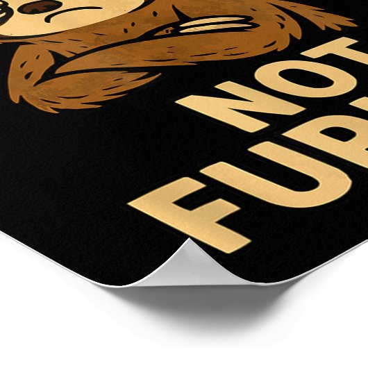 Not Fast Not Furious, Funny Sltoh  Poster (Hoek)