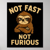 Not Fast Not Furious, Funny Sltoh  Poster (Voorkant)