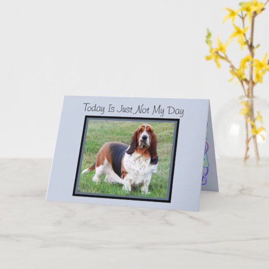 "Not My Day" Verjaardag Kaart W / Fun Basset Hound (Gele Bloem)