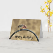 Not Quite Over the Hill - Birthday Card Kaart (Gele Bloem)