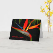 Nota Kaart Colorful Bird of Paradise (Gele Bloem)
