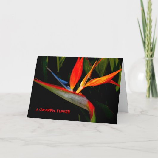 Nota Kaart Colorful Bird of Paradise (Voorkant)