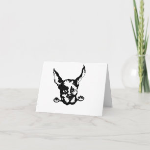 Nota Kaart : Doberman