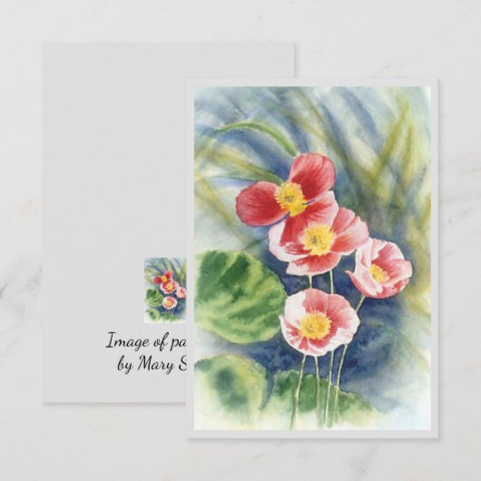 Nota Kaart met afbeelding van papavers (Voorkant / Achterkant)