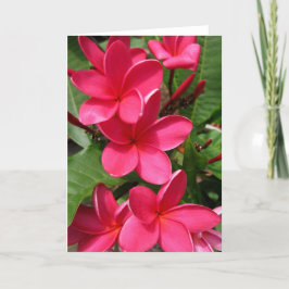nota kaart - roze plumerias