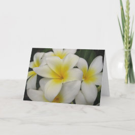 nota kaart - witte plumerias