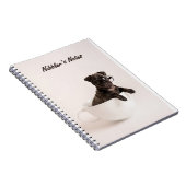 Nota's van Nibbler Notitieboek (Rechterzijde)