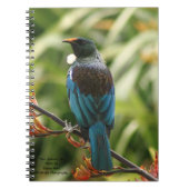 Note Book, New Zealand Tui Bird Notitieboek (Voorkant)