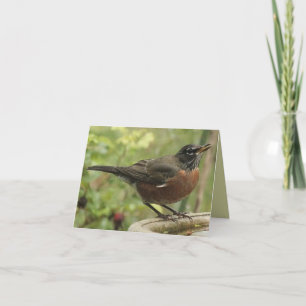 Note Card met American Robin Kaart