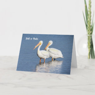Note Card met White Pelicans Kaart