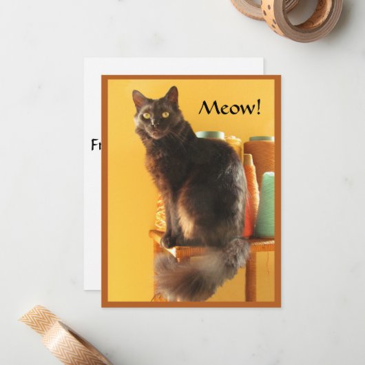 Note Kaart - Crafty Cat Notitiekaartje (Voorkant / Achterkant in situ)