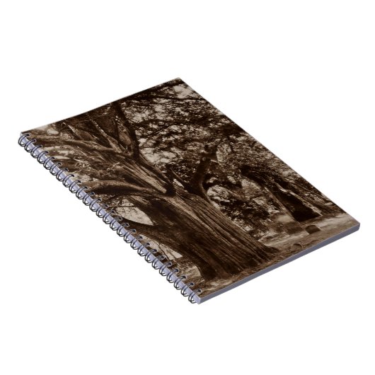 Notebook Journal Genealogy Graveyard Yew Stones Notitieboek (Rechterzijde)