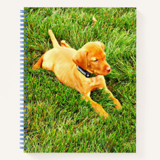 Notebook met een Vizsla Puppy Notitieboek