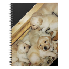 Notebook met foto van gele lab-puppies notitieboek