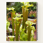 Notebook met Sarracenia flava-foto's Notitieboek (Achterkant)