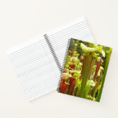 Notebook met Sarracenia flava-foto's Notitieboek (Binnen)