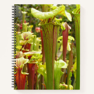 Notebook met Sarracenia flava-foto's Notitieboek