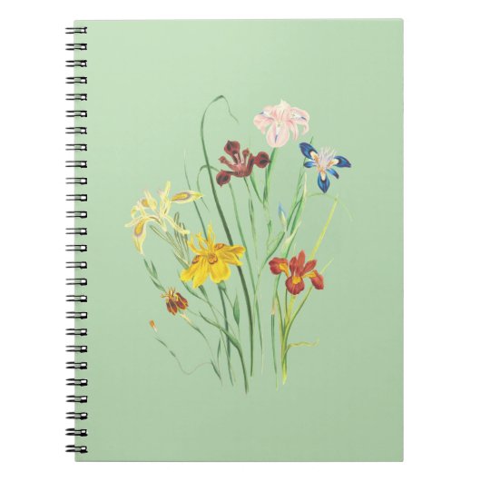 Notebook Nirvana: De Beste Ontwerpen bij Jou Notitieboek (Voorkant)