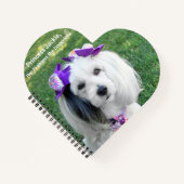 Notebook Notitieboek (Voorkant)