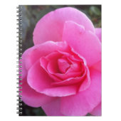 Notebook - Roze Rose Notitieboek (Voorkant)