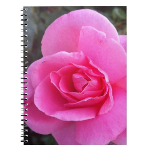 Notebook - Roze Rose Notitieboek (Voorkant)