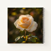  Notebooks & Journals Notitieboek (Achterkant)