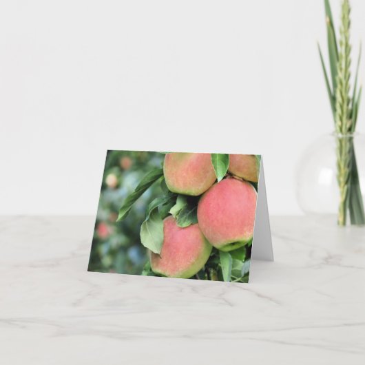 Notecard - Appelen Kaart (Voorkant)
