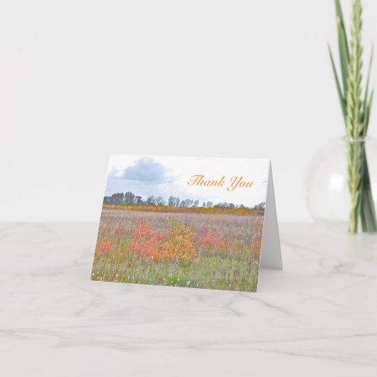 NOTECARD, "BEDANKT" LANDSCHAP BEDANKKAART (Voorkant)