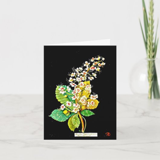 Notecard-Botanical Art-Mary Delany 10 Kaart (Voorkant)