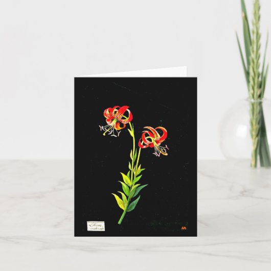 Notecard-Botanical Art-Mary Delany 11 Kaart (Voorkant)