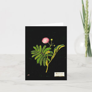 Notecard-Botanical Art-Mary Delany 15 Kaart
