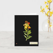 Notecard-Botanical Art-Mary Delany 16 Kaart (Gele Bloem)