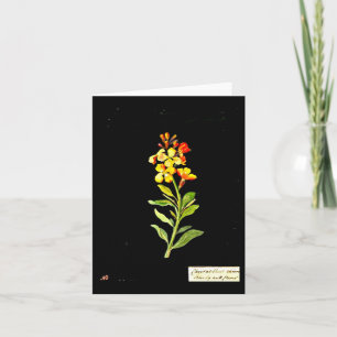 Notecard-Botanical Art-Mary Delany 16 Kaart