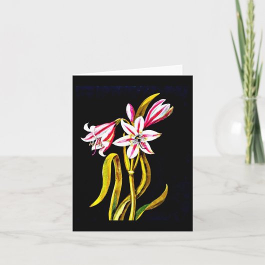 Notecard-Botanical Art-Mary Delany 3 Kaart (Voorkant)