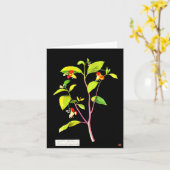 Notecard-Botanical Art-Mary Delany 7 Kaart (Gele Bloem)