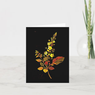 Notecard-Botanical Art-Mary Delany 8 Kaart