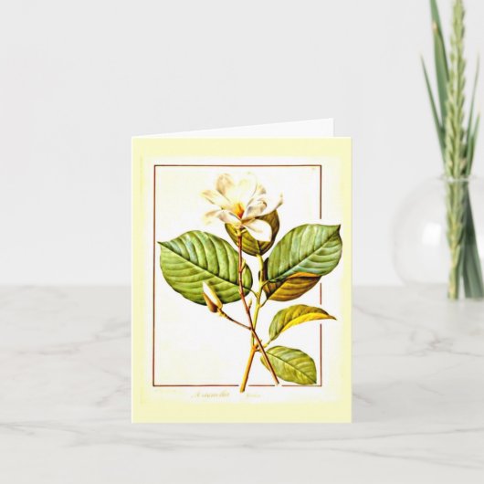 Notecard-Botanicals-Pierre Joseph Redoute 12 Kaart (Voorkant)