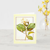 Notecard-Botanicals-Pierre Joseph Redoute 12 Kaart (Gele Bloem)