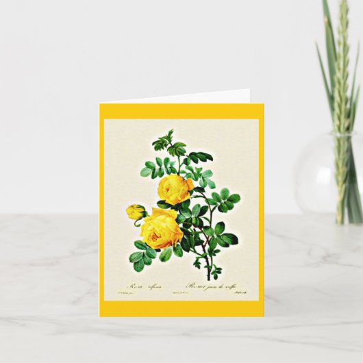 Notecard-Botanicals-Pierre Joseph Redoute 13 Kaart (Voorkant)