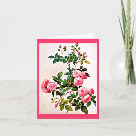 Notecard-Botanicals-Pierre Joseph Redoute 14 Kaart (Voorkant)