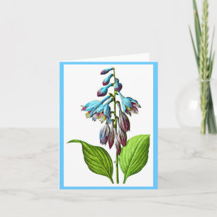 Notecard-Botanicals-Pierre Joseph Redoute 17 Kaart