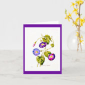 Notecard-Botanicals-Pierre Joseph Redoute 6 Kaart (Gele Bloem)