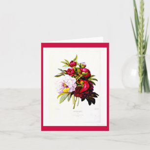 Notecard-Botanicals-Pierre Joseph Redoute 7 Kaart