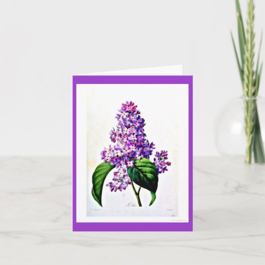 Notecard-Botanicals-Pierre Joseph Redoute 8 Kaart (Voorkant)